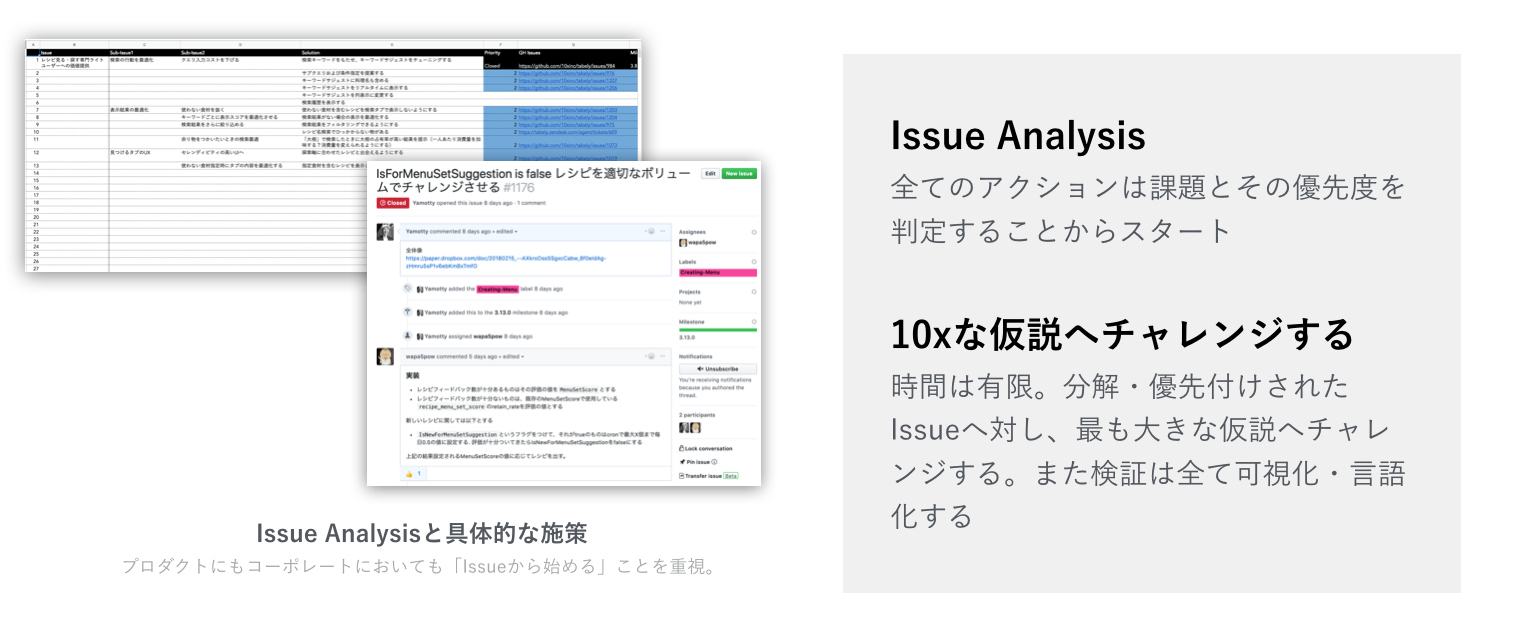 issue analysis