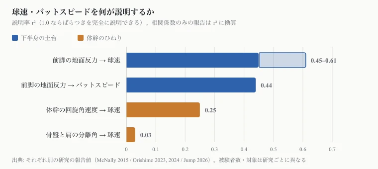 球速・バットスピードを何が説明するか