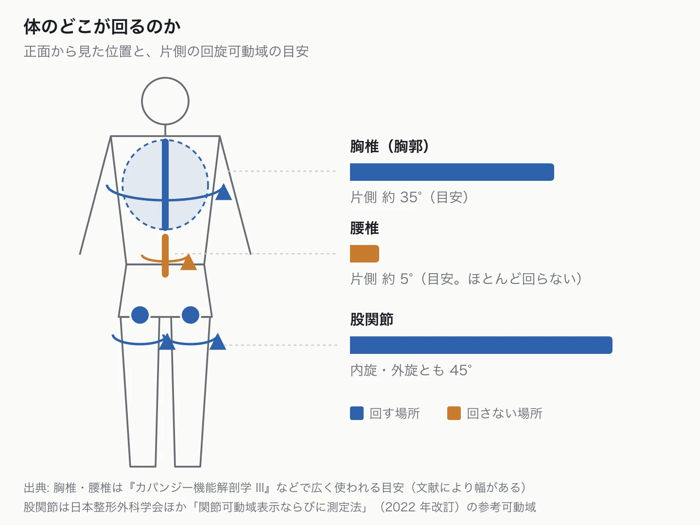 Which parts of the body rotate
