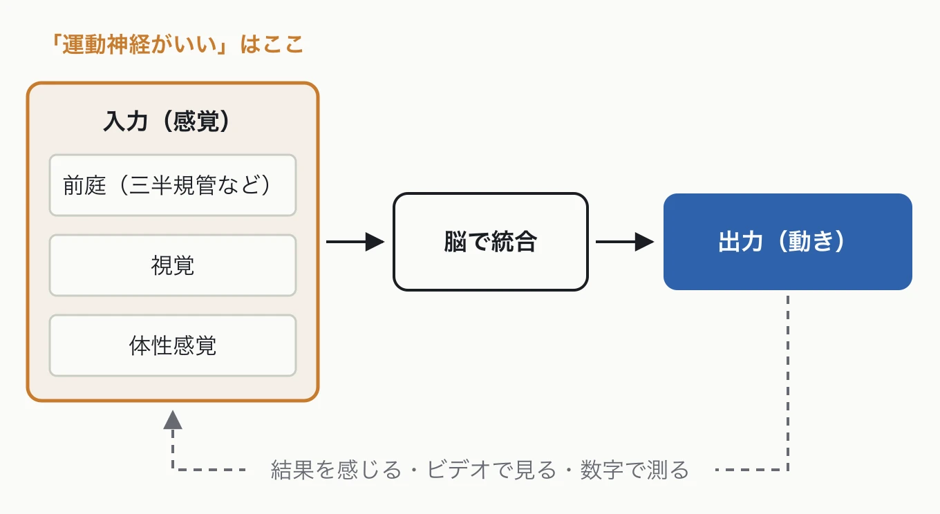 入力・統合・出力の循環